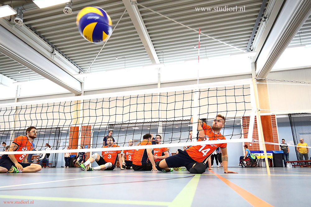 Paravolley TeamNL