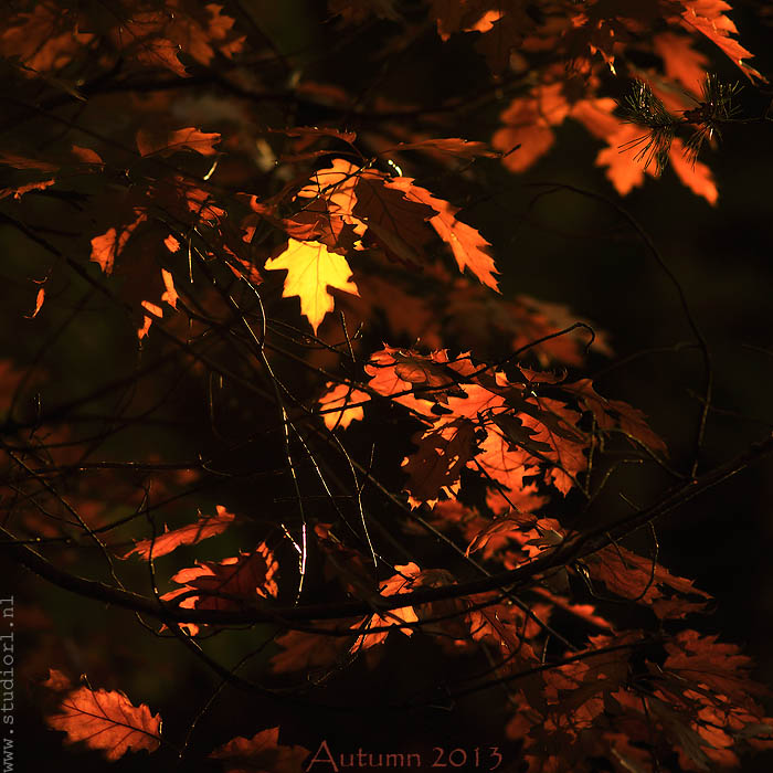 Herfst